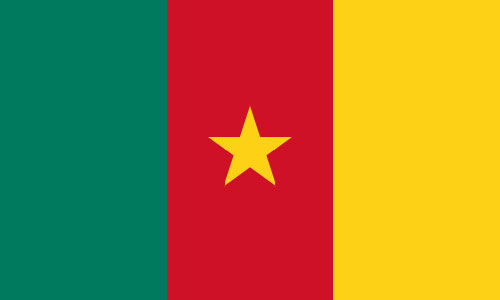 ST DIGITAL Cameroun