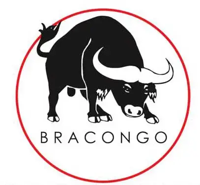 Brasseries du Congo (BRACONGO)